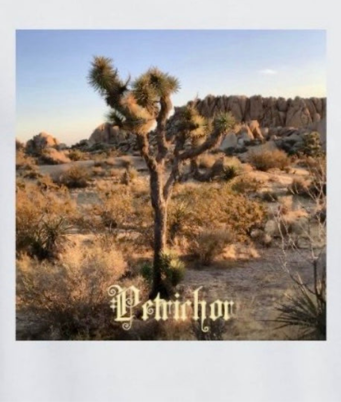 Organic Cotton Petrichor Shirt